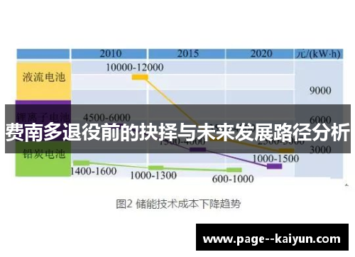 费南多退役前的抉择与未来发展路径分析 费南多退役前的抉择与未来发展路径分析